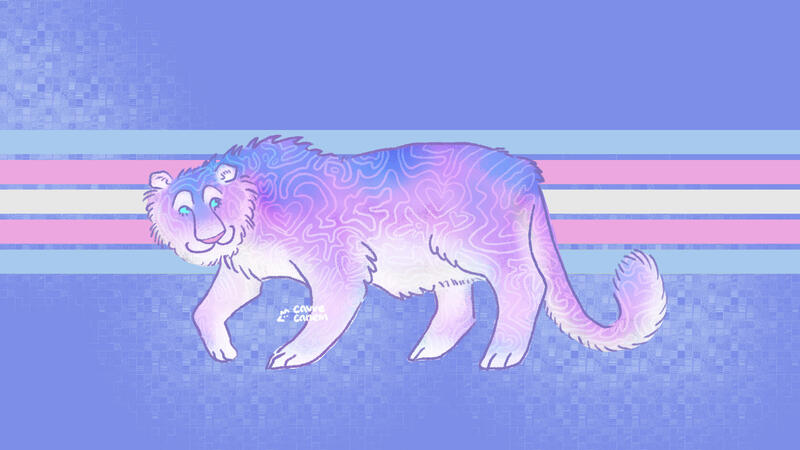tiger trans tiger trans